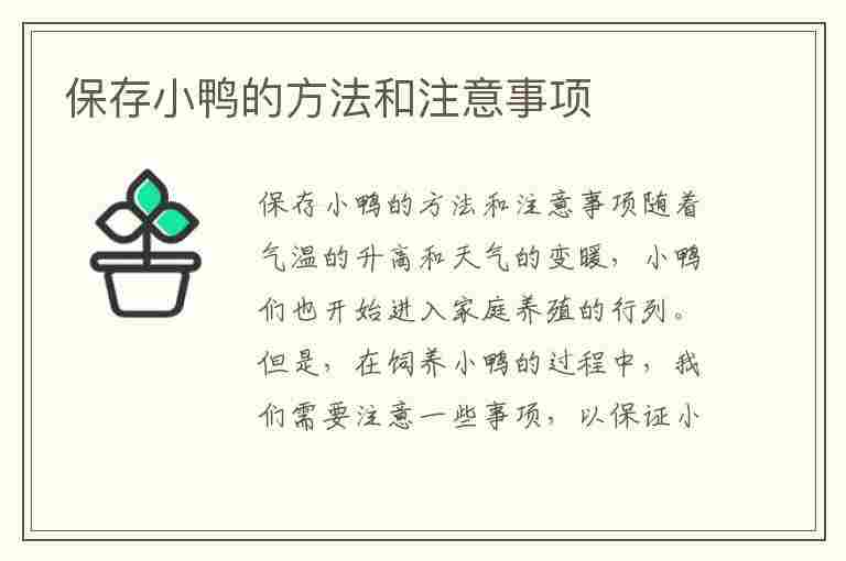 保存小鸭的方法和注意事项(保存小鸭的方法和注意事项有哪些)